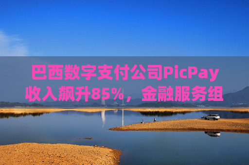 巴西数字支付公司PicPay收入飙升85%，金融服务组合持续扩大  第1张
