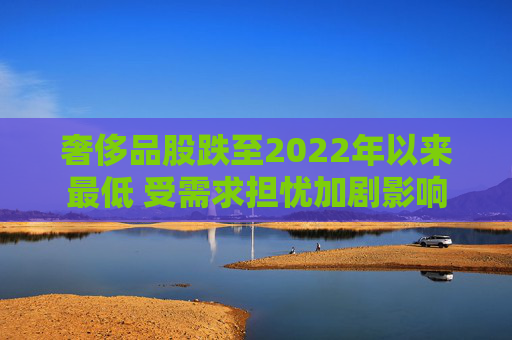 奢侈品股跌至2022年以来最低 受需求担忧加剧影响