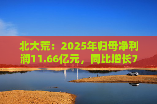 北大荒：2025年归母净利润11.66亿元，同比增长7.26%  第1张