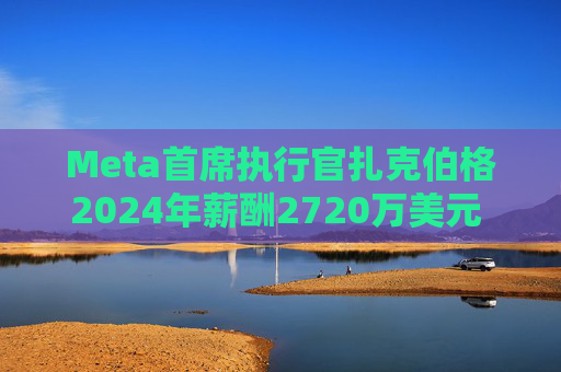 Meta首席执行官扎克伯格2024年薪酬2720万美元 高于上年的2440万美元  第1张