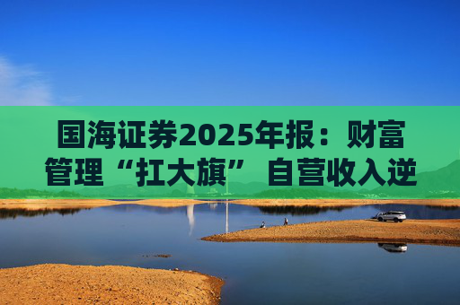 国海证券2025年报：财富管理“扛大旗” 自营收入逆势大降 投行收入占比仅2%