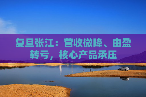 复旦张江：营收微降、由盈转亏，核心产品承压