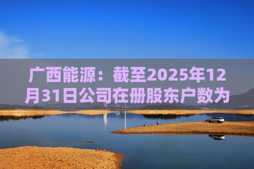 广西能源：截至2025年12月31日公司在册股东户数为53413户
