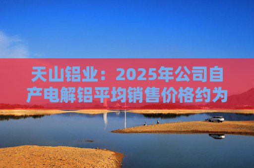 天山铝业：2025年公司自产电解铝平均销售价格约为20600元/吨
