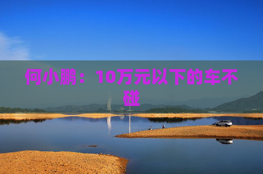 何小鹏：10万元以下的车不碰