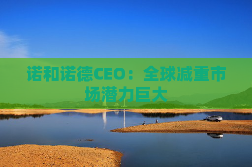 诺和诺德CEO：全球减重市场潜力巨大