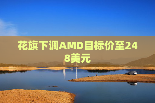 花旗下调AMD目标价至248美元