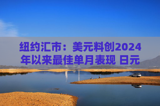纽约汇市：美元料创2024年以来最佳单月表现 日元跌破160关口