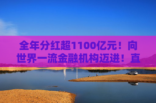 全年分红超1100亿元！向世界一流金融机构迈进！直击工行2025年业绩会
