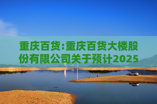 重庆百货:重庆百货大楼股份有限公司关于预计2025年日常关联交易的公告  第1张