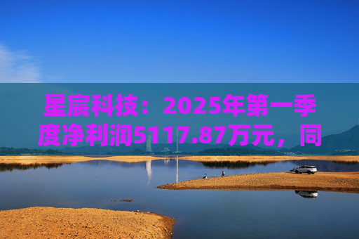 星宸科技：2025年第一季度净利润5117.87万元，同比增长0.48%  第1张