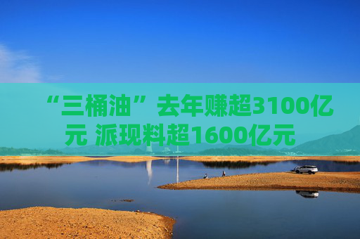 “三桶油”去年赚超3100亿元 派现料超1600亿元