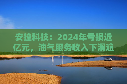 安控科技：2024年亏损近亿元，油气服务收入下滑逾两成  第1张