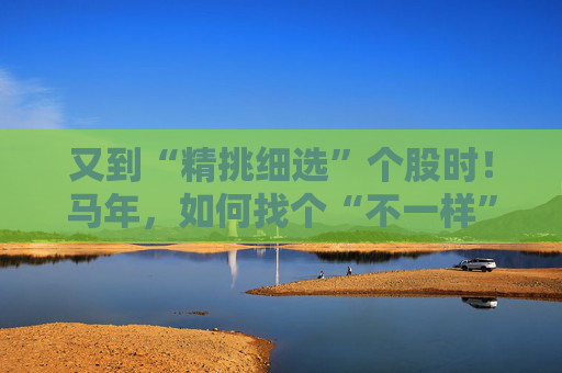 又到“精挑细选”个股时！马年，如何找个“不一样”的基金管理人替你出赛？