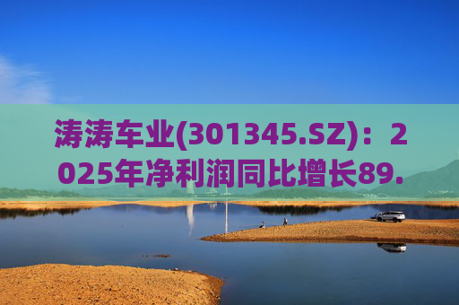 涛涛车业(301345.SZ)：2025年净利润同比增长89.29% 拟10派15元