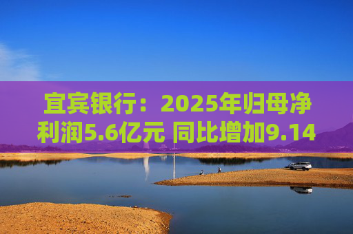 宜宾银行：2025年归母净利润5.6亿元 同比增加9.14%