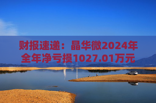 财报速递：晶华微2024年全年净亏损1027.01万元  第1张