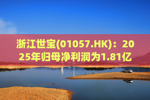 浙江世宝(01057.HK)：2025年归母净利润为1.81亿元 同比增加21.05%  第1张