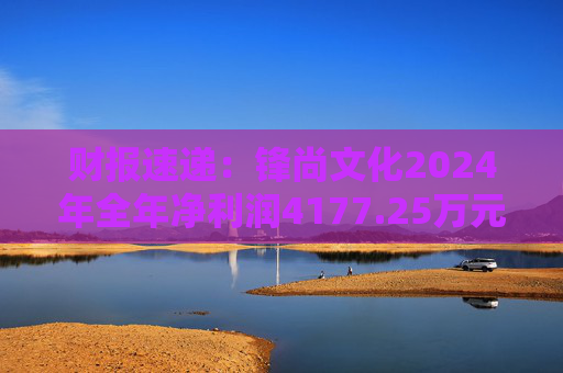 财报速递：锋尚文化2024年全年净利润4177.25万元  第1张