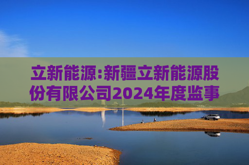立新能源:新疆立新能源股份有限公司2024年度监事会工作报告