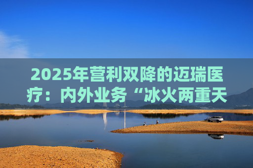 2025年营利双降的迈瑞医疗：内外业务“冰火两重天”