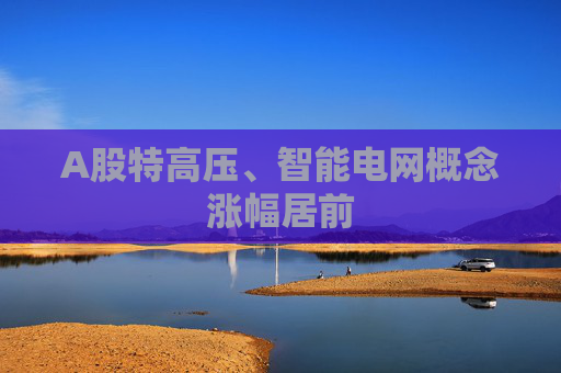 A股特高压、智能电网概念涨幅居前