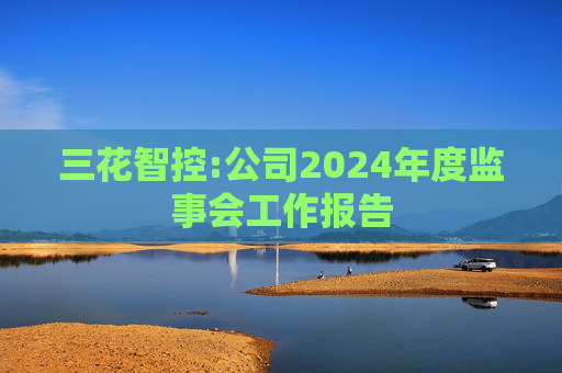 三花智控:公司2024年度监事会工作报告  第1张