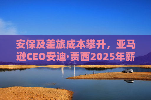 安保及差旅成本攀升，亚马逊CEO安迪·贾西2025年薪酬涨至210万美元