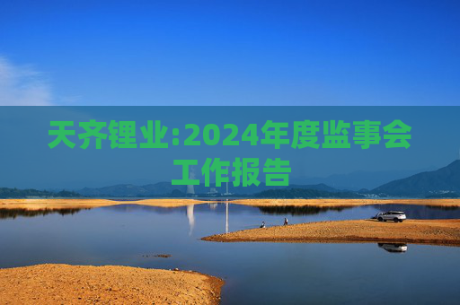 天齐锂业:2024年度监事会工作报告