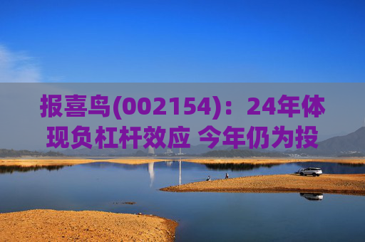 报喜鸟(002154)：24年体现负杠杆效应 今年仍为投入年