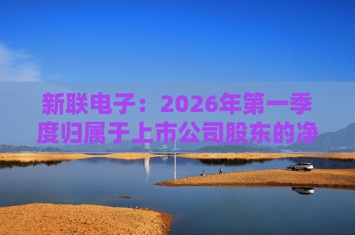 新联电子：2026年第一季度归属于上市公司股东的净利润是91152716.65元