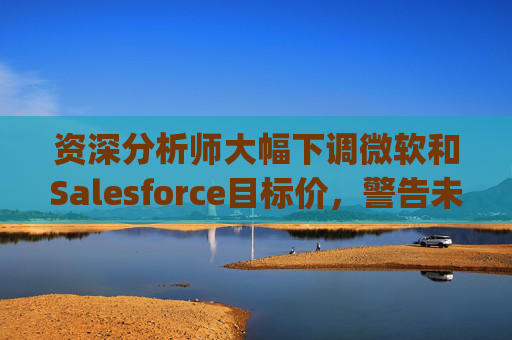 资深分析师大幅下调微软和Salesforce目标价，警告未来一年将"艰难"