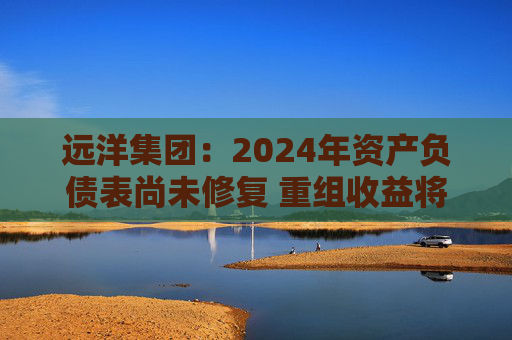 远洋集团：2024年资产负债表尚未修复 重组收益将于2025年释放  第1张