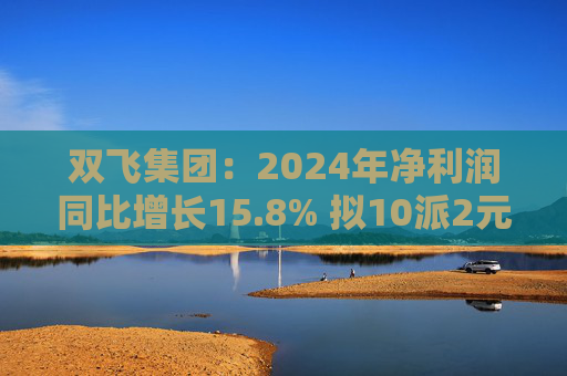 双飞集团：2024年净利润同比增长15.8% 拟10派2元