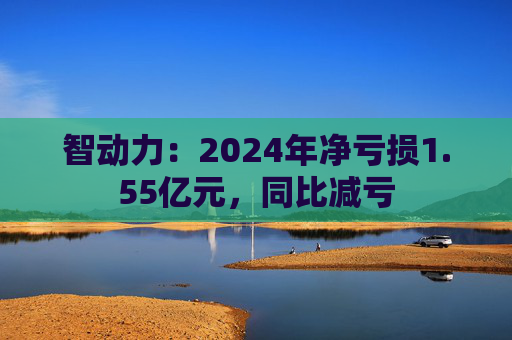 智动力：2024年净亏损1.55亿元，同比减亏  第1张