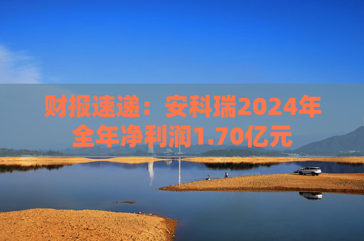 财报速递:安科瑞2024年全年净利润1.70亿元 第1张 财报速递:安科瑞2024年全年净利润1.70亿元 第1张