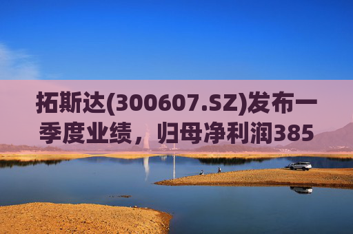 拓斯达(300607.SZ)发布一季度业绩，归母净利润385.48万元，下降87.14%  第1张