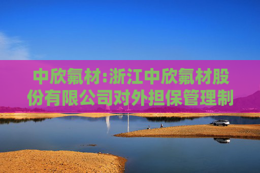 中欣氟材:浙江中欣氟材股份有限公司对外担保管理制度  第1张