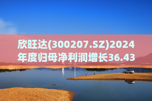 欣旺达(300207.SZ)2024年度归母净利润增长36.43%至14.68亿元，动力电池出货量合计25.29GWh