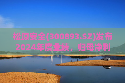 松原安全(300893.SZ)发布2024年度业绩，归母净利润2.6亿元，增长31.65%  第1张