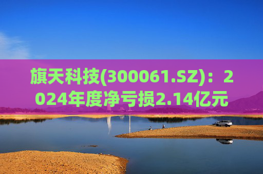 旗天科技(300061.SZ)：2024年度净亏损2.14亿元  第1张