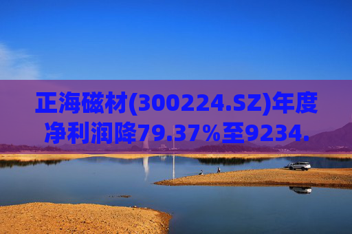 正海磁材(300224.SZ)年度净利润降79.37%至9234.02万元  高性能钕铁硼永磁材料销量实现连续七年增长