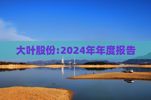 大叶股份:2024年年度报告