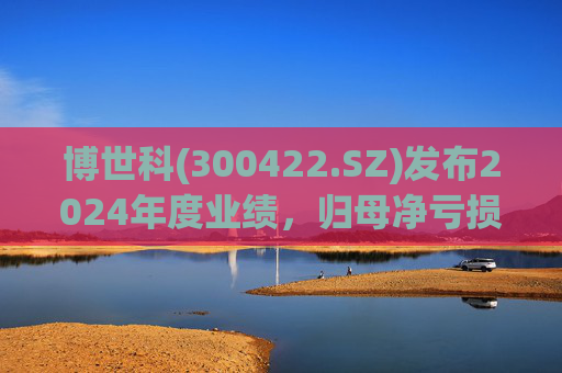 博世科(300422.SZ)发布2024年度业绩，归母净亏损8.65亿元，扩大300.66%