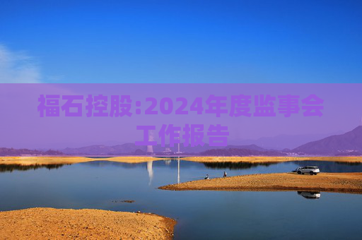 福石控股:2024年度监事会工作报告