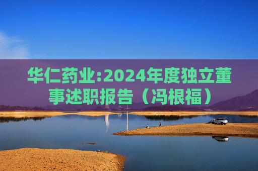 华仁药业:2024年度独立董事述职报告（冯根福）  第1张