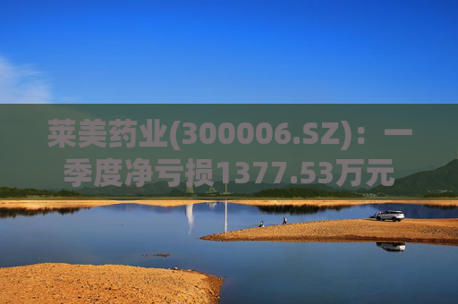 莱美药业(300006.SZ):一季度净亏损1377.53万元 第1张 莱美药业(300006.SZ):一季度净亏损1377.53万元 第1张