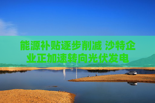 能源补贴逐步削减 沙特企业正加速转向光伏发电  第1张