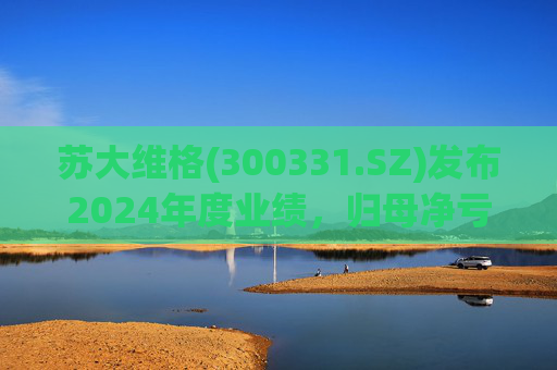 苏大维格(300331.SZ)发布2024年度业绩，归母净亏损5805万元，亏损扩大  第1张