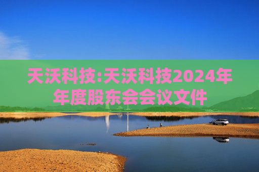 天沃科技:天沃科技2024年年度股东会会议文件